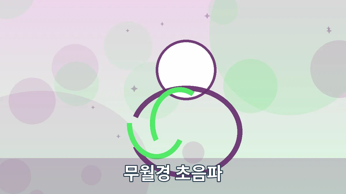 무월경 초음파 안내 이미지 2