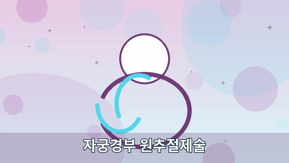 자궁경부 원추절제술 안내 이미지 4
